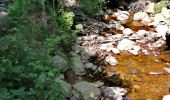 Tour Wandern Weismes - La Cascade du Bayehon   - Photo 6