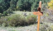 Trail Walking Grasse - Grasses - Photo 5