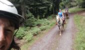 Trail Horseback riding Vacqueville - vacqueville chez Heidi bertrichamp  - Photo 5