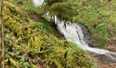 Tocht  Gérardmer - Bourrique, tour et cascade de Merelle - Photo 16