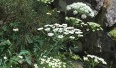 Trail Walking Riols - Sentier des légendes (1000 marches) par Langlade (Riols) - Photo 20