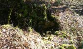 Tour Wandern Castelfranc - Castelfranc Tindout photos  - Photo 15