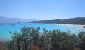 Randonnée Marche Santo-Pietro-di-Tenda - sentier côtier entre la plage du Lotus et Sallecia - Photo 11