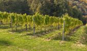 Tocht Te voet Leutschach an der Weinstraße - Glanzer Weintour - Photo 1