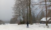 Percorso Marcia Spa - berinzenne entre fagne et bois dans le brouillard - Photo 8