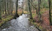 Trail Walking Sainte-Ode - rando lavacherie 29/12/2020 - Photo 15