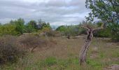 Percorso Marcia Saint-Paul-le-Jeune - randonnee des combes blancs - Photo 1