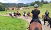 Trail Horseback riding Bourg-Bruche - 2023-09-16 Picnic CVA Climont Bourg Bruche - Photo 2