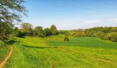 Tocht Stappen Nijvel - Balade à Monstreux - Nivelles - Photo 16