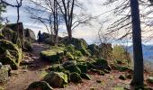 Trail Horseback riding Gresswiller - 2022-11-06 Picnic CVA Neuntelstein - Photo 2