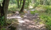 Trail Walking Saint-Sulpice-de-Favières - Saint-Sulpice-de-Favières - Photo 3