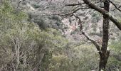 Trail On foot Roquebrune-sur-Argens - Lac des Clos-Roquebrune/Argens-01-03-23 - Photo 5