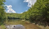 Tour Zu Fuß Fivizzano - (SI L20OLD) Passo del Cerreto - Rifugio Sarzana al Monte Acuto - Diga del Lagastrello - Pratospilla - Photo 8