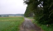 Percorso A piedi Bad Endbach - Wanderweg E5 / Quellweg - Photo 7