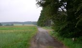 Tocht Te voet Bad Endbach - Wanderweg E5 / Quellweg - Photo 7