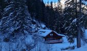 Trail Snowshoes Pralognan-la-Vanoise - Pont de Gerlon - Photo 2