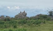 Percorso Marcia Estérençuby - J5-25 fait Kaskoleta Gîte Zuharpeta - Photo 1