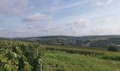 Tour Wandern Saâcy-sur-Marne - 20240910 rando  - Photo 4