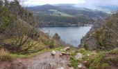 Excursión Senderismo Orbey - lac blanc col du calvaire - Photo 3