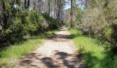 Trail Walking Ghisonaccia - forêt de pinia, étang,mer - Photo 1