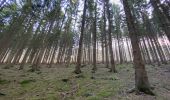 Tour Wandern Theux - Theux Natura 2000 château Franchimont - Photo 6