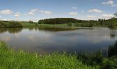 Tour Zu Fuß Neustadt an der Orla - Naturlehrpfad Dreba - Plothen - Photo 4