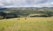 Trail Nordic walking Trélans - Trélans Aubrac - Croix du Pal  - Photo 2