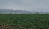 Trail Walking Trois-Ponts - wanne 280122 - Photo 8