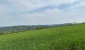 Tocht Stappen La Roche-en-Ardenne - Warempage 23 km - Photo 8