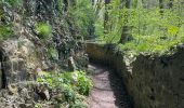 Excursión Senderismo Écaussinnes - Ecaussinne un saut dans le temps - Photo 7