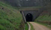 Tour Wandern Belsentes - Nonières. Par les chemins de l'école Buisson-nière - Photo 6