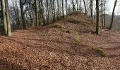 Tocht Te voet Pommelsbrunn - Hohenstadt Rundweg 1 - Hasen-Markierung - Photo 6