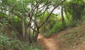 Tour Wandern Guayaquil - Cerro Azul (Antenas) de ESPOL - Photo 3