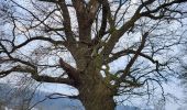Trail Walking Thuin - Thuin 130325 - Photo 3