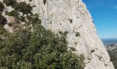 Trail Walking Gigondas - les antennes de montmirail - Photo 8