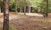 Tour Wandern Notre-Dame-de-Monts - Notre-Dame-de-Monts-Découverte forêt et dunes - Photo 8