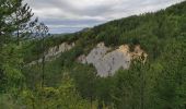 Percorso Marcia Entrages - Entrages - col de la Pierre Basse - ravin de la Fuby - boucle retour Entrages  - Photo 2