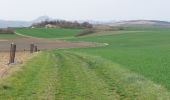 Excursión Senderismo Pérignat-sur-Allier - LES HAUTS D'ALLIER - Photo 6