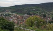 Trail Walking Andlau - boucle andlau, château d'andlau, château de spersbourg, andlau  - Photo 11