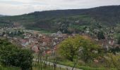 Trail Walking Andlau - boucle andlau, château d'andlau, château de spersbourg, andlau  - Photo 11