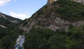 Randonnée Marche Barret-sur-Méouge - Gorges de la meouge - Photo 8