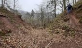 Tour Zu Fuß Dossenheim - Rundwanderweg Dossenheim 3 - Photo 4