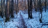 Trail Walking Ornans - ORNANS SAULES - Photo 4