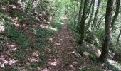 Trail Walking Contamine-Sarzin - Contamine Sarzin Cascade Barbannaz - Photo 4