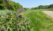 Tocht Stappen Ormoy-le-Davien - 030422 - Direction Vaucienne puis Vaumoise et Cave du diable - Photo 10