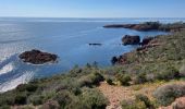 Tocht Stappen Saint-Raphaël - Cap Roux par l'Est depuis la gare du Trayas - Photo 5