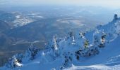 Randonnée Ski de randonnée Beaumont-du-Ventoux - mont ventoux à Ski - Photo 1