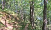 Trail Walking Arthès - Arthès Saint-Juéry Les Avalats en boucle - Photo 12