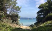 Trail Walking Hyères - Porquerolle côté Est (Pointe des Mèdes) - Photo 11