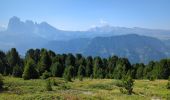 Randonnée Marche Urtijëi - St. Ulrich in Gröden - Ortisei - Raschötz Alm - Photo 2